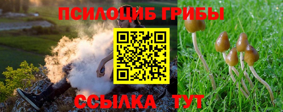 Псилоцибиновые грибы мухоморы Коломна
