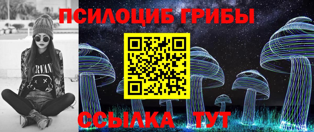 Галлюциногенные грибы Magic Shrooms  Псилоцибиновые грибы GOLDEN TEACHER  Вход с VPN  Коломна 